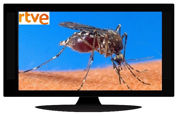La televisión que es y no es de todos