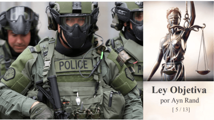 Proteger derechos individuales es el único objetivo de la ley. Ley objetiva [5-13]