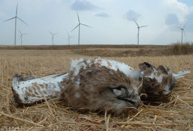 La farsa del cambio climático