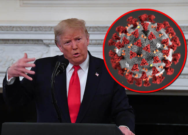 Pandemia de tontos