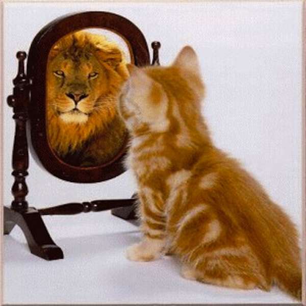 Reescribir la realidad