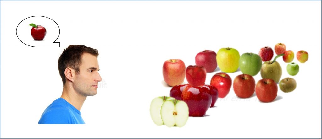 Economía-unitaria